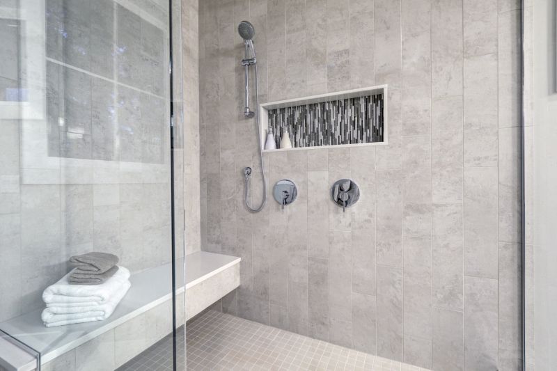 Shower with Niche